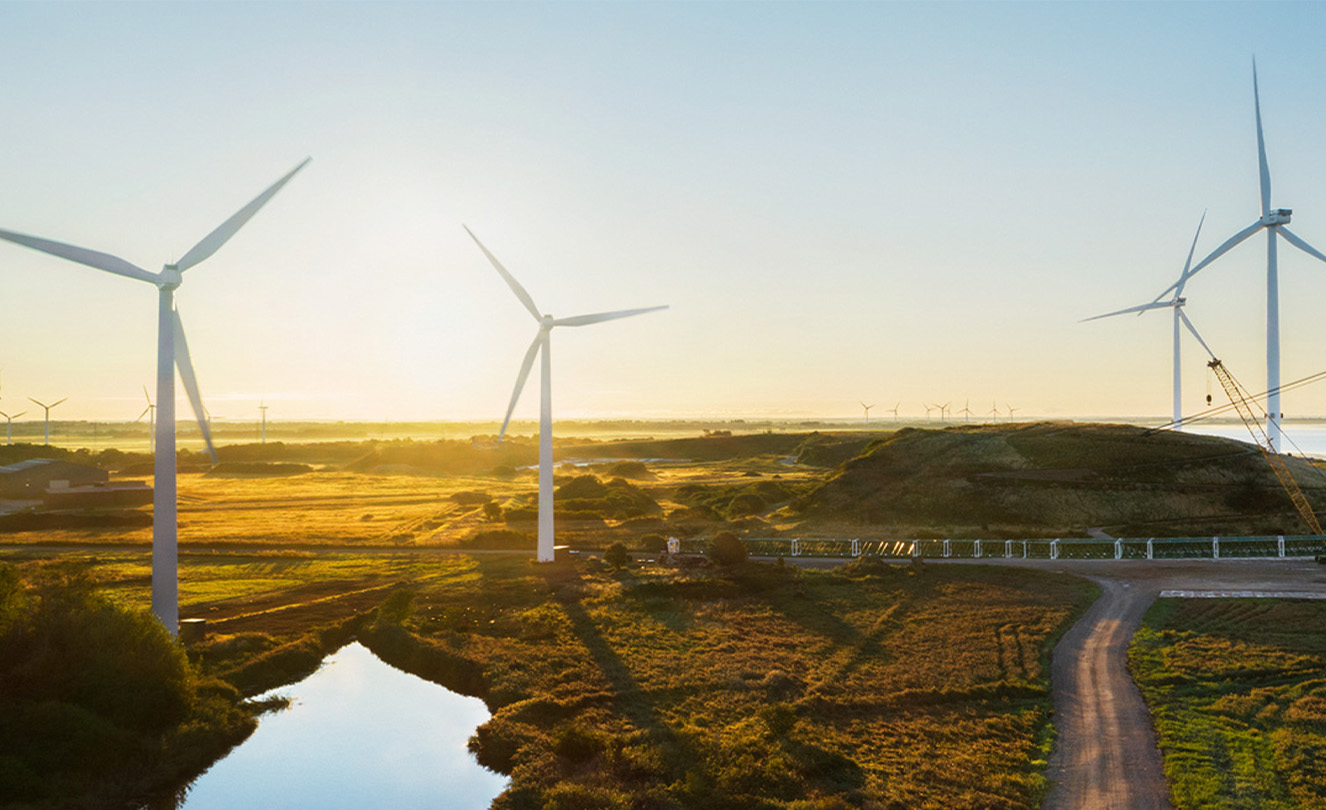 Ein Feld mit mehreren energieproduzierenden Windrädern.