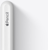 Viršutinė „Apple Pencil“ (2-os kartos) dalis su užapvalintu galiuku, „Apple“ logotipu ir žodžiu „Pencil“.