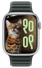 Apple Watch órán egy fotószámlap, amelyen macska látható, az idő egyéni méretben van megjelenítve, és az írásjegyek szintén egyéniek
