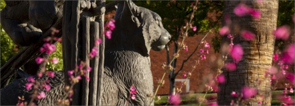 Bronze wildcat statue