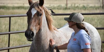 woman in ASPCA cap and branded tee shirt pets a tan horse in the sunshine