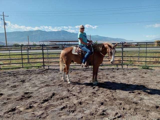 A woman rides a brown horse on a sunny day.