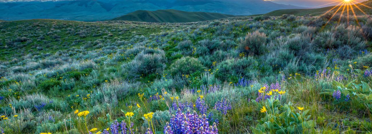 The Lemhi Pass in Idaho, where Lewis and Clark crossed over the Continental Divide in 1805.