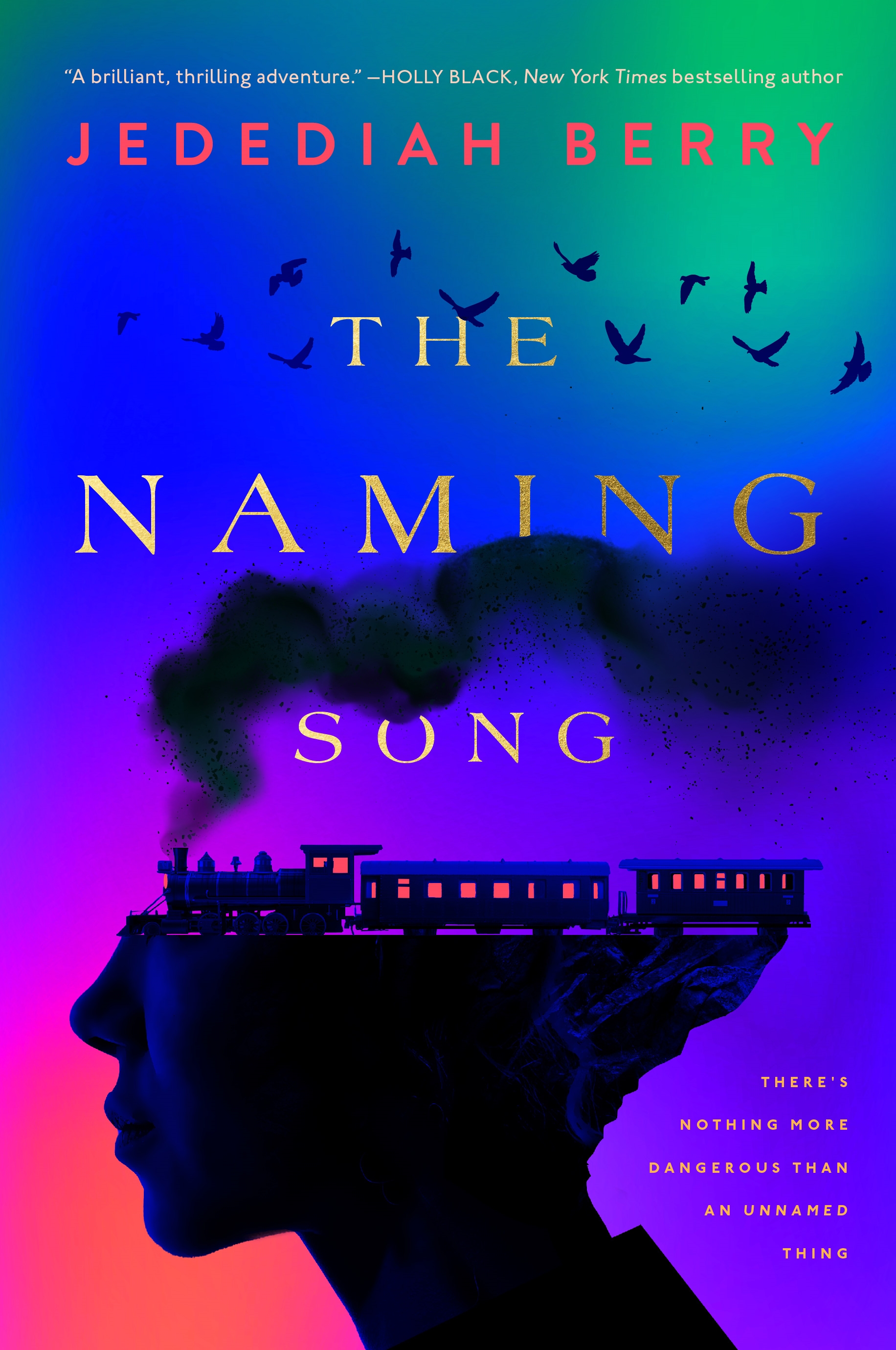 Book Jacket: The Naming Song