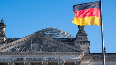 Die AfD im Bundestag beschäftigt mehr als 100 Mitarbeiter aus dem rechtsextremen Spektrum - unter ihnen auch Neonazis. | Bild: Bayerischer Rundfunk 2024