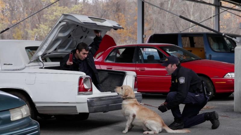 CBP officers training dog at the CBP Front Royal Canine Training Center