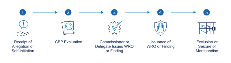 Five step forced labor enforcement process to include Receipt of allegation or self-initiation, CBP evaluation, commissioner or delegate Issues WRO or Finding, issuance of WRO or finding, and exclusion or seizure of merchandise.