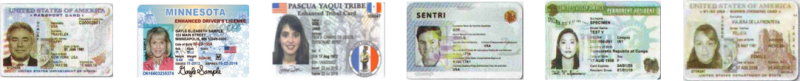 Types of travel cards that are eligible for enty into the U.S. using Ready Lane