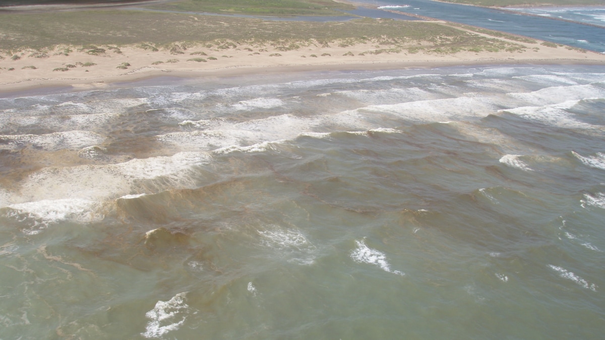 Ocean water darkened by red tide algae along a sandy shore