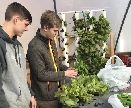 Two male high school students with lettuce on a grow tower