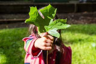 The Environmental Fund