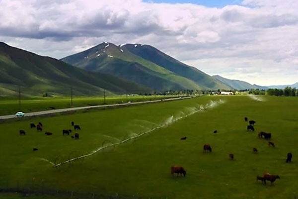 An image of the Idaho Range