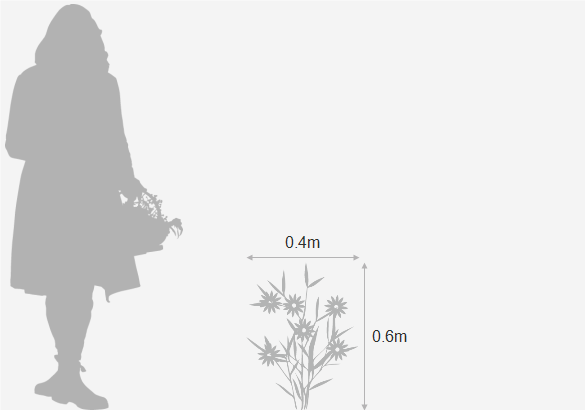 Eventual height and spread