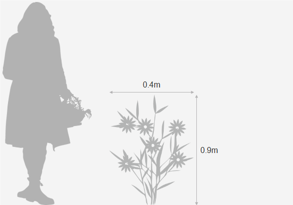 Eventual height and spread