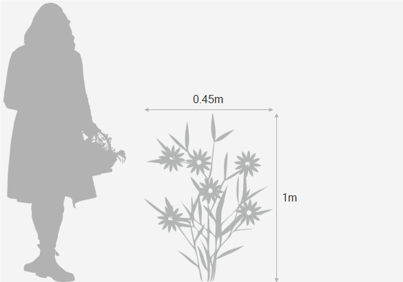 Eventual height and spread