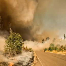 road surrounded by wildfire with sky filled with smoke