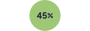 Green circle icon with the copy "45%".