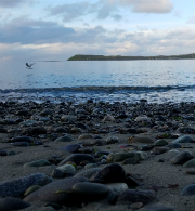 View of Protection Island Aquatic Reserve