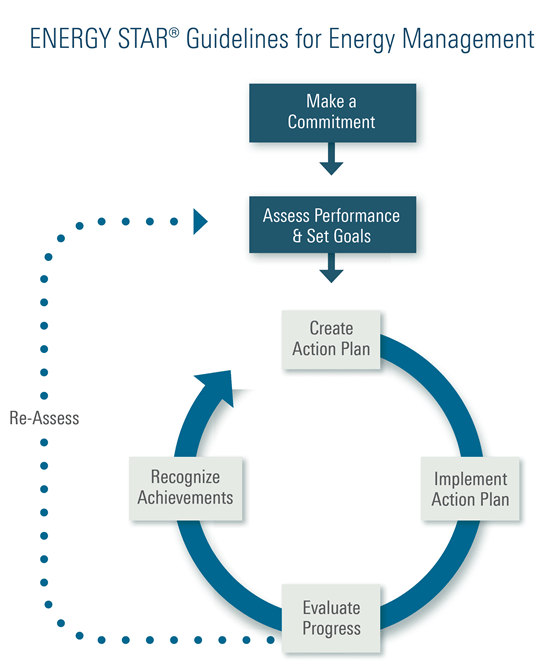 7 step roadmap