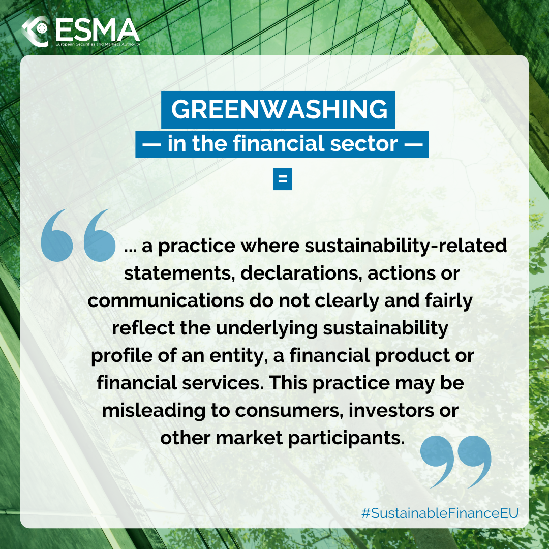 Final Report on Greenwashing 2024