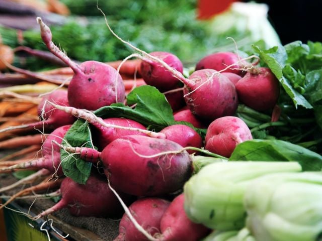 Radishes