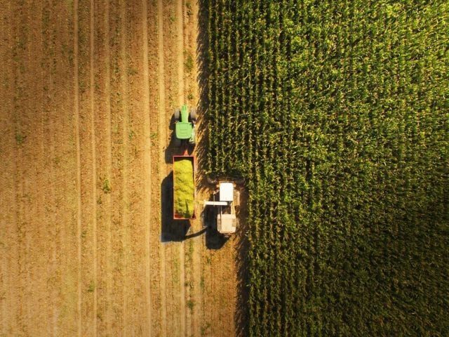 Crop harvesting