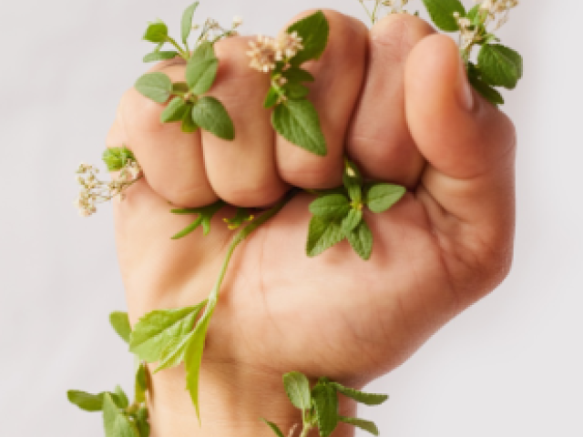 Hand with plant growing around it