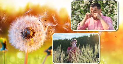 Photo graphic, main image of dandelion blowing in wind. Top inset photo of man rubbing watering eyes. Bottom inset photo of woman standing in field of flowers and sneezing.