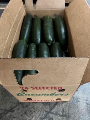 Image 2 – Cucumbers inside cardboard packaging