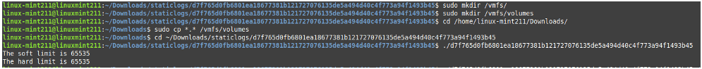 Testing with “/vmfs/volumes/” present.