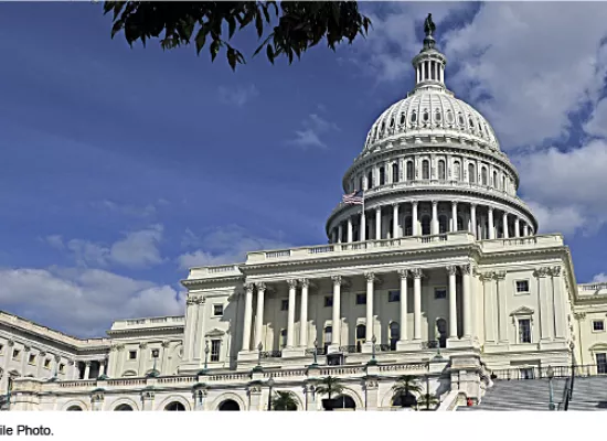 Photo of the U.S. Capitol building. Shows the steps leading up to the building and the large white dome.