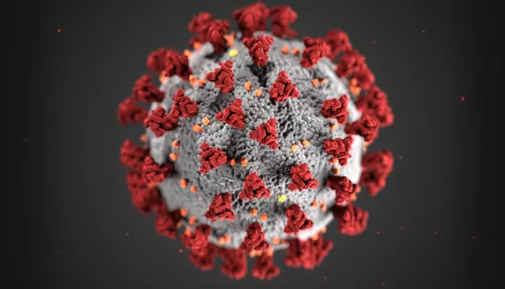 Coronavirus