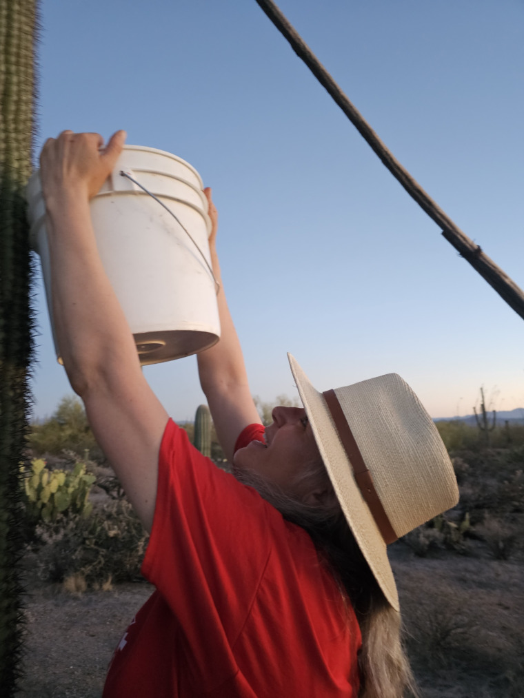 Nina harvesting at UA harvest June 23