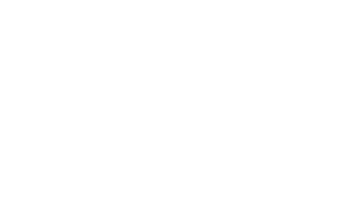 wall street journal logo