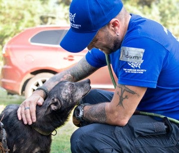 Adam Parascandola rescues dog from cruelty situation in Kingman, Kansas