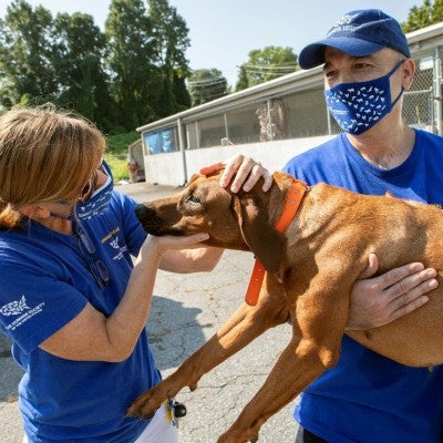 Rescue in the field