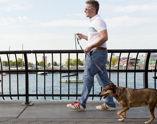 Man walking dog on bridge