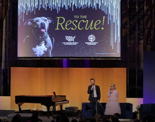 A man in a suit and a woman in a pink dress stand on a stage with a piano and large screen in the background.