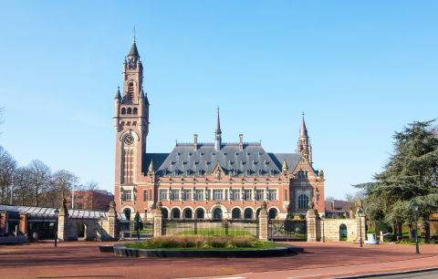 View of the Peace Palace