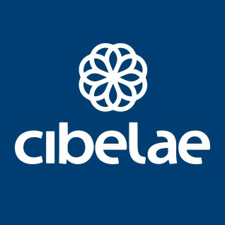 CIBELAE Seminar on Anti-Money Laundering and Innovation 