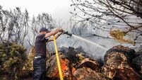 Watch: Wildfire in the Dublin mountains