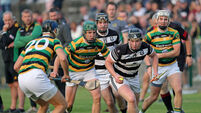 Glen Rovers show class to secure semi-final spot with win over Ballyhea 