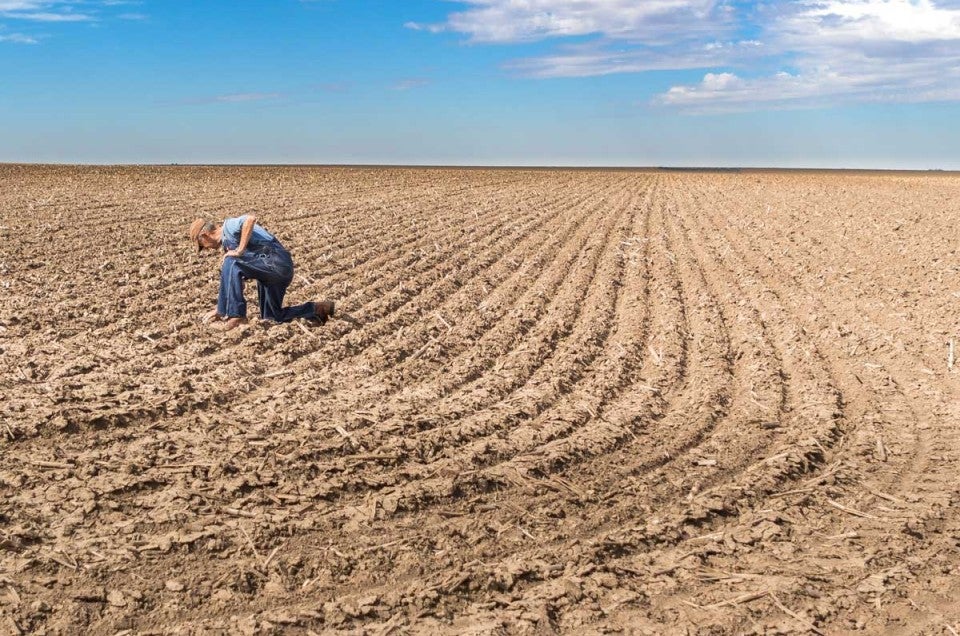 Farmer in field