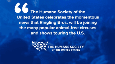 Image for story: The Greatest Show Returns: Ringling Bros Circus returns six years after shutting down