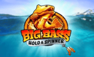 Big Bass Hold & Spinner