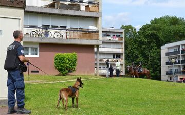 Vaires-sur-Marne, le 12 juin 2024. Avant les JO, les policiers ont organisé une opération place nette à Vaires-sur-Marne de mardi à jeudi. Des contrôles tous azimuts ont été effectués comme ici dans la cité Paul Algis. DR.