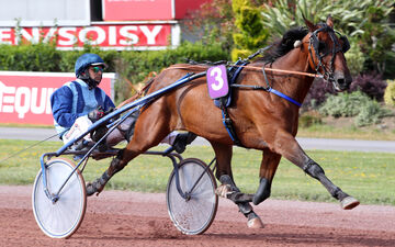 Enghien (Val-d'Oise), le mercredi 10 juillet 2024. Favori de ce quinté, Galago du Cadran a sûrement dicté sa loi, associé à Gabi Gelormini. ScoopDyga