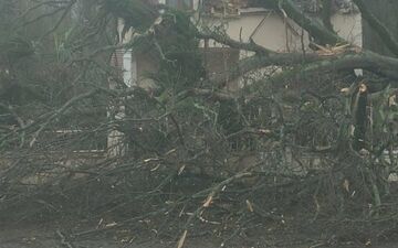 Écouen, le 23 février. L'arbre s'est déraciné et est tombé sur la chaussée. Une femme de 66 ans, qui se trouvait sur la voie publique, a été bloquée sous les décombres. Yaël Roques