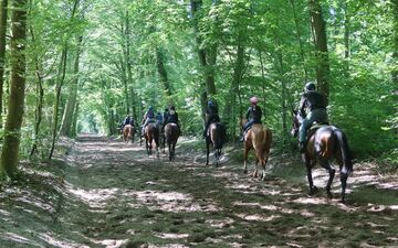 Chantilly (Oise), le 24 juin. Le centre d'entraînement pour chevaux de course de France Galop est l'un des plus grands d'Europe. Bientôt, le fumier équin sera valorisé grâce à une unité de méthanisation installée à Gouvieux. LP/Florent Heib