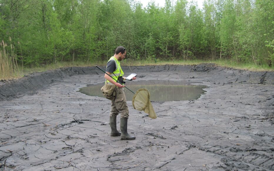 Les métiers du génie écologique couvrent à la fois les études et les travaux qui permettent de sauvegarder ou restaurer les milieux naturels. UPGE